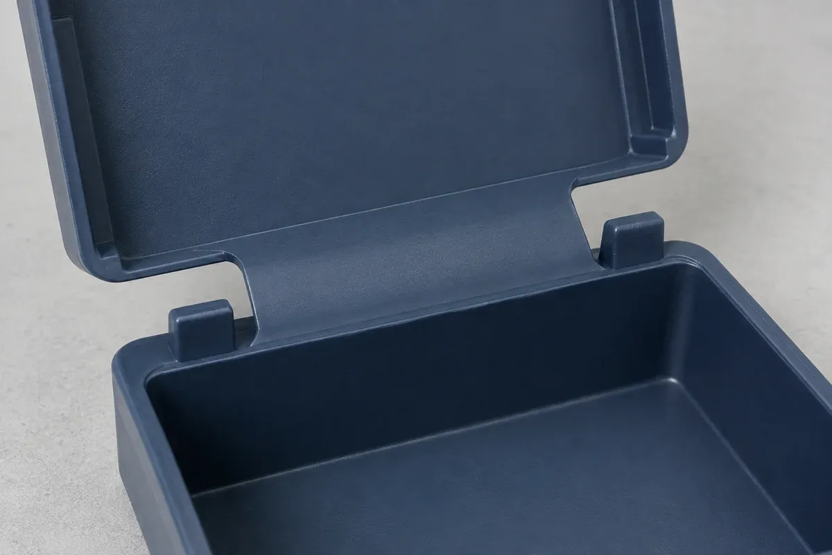 Integral plastic access-cover concept showing the thin web and connected frame