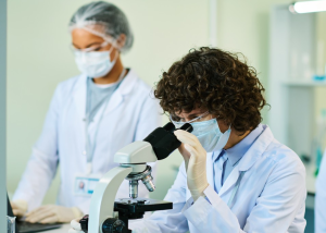 ISO 10993 vs. USP Class VI: Key Differences in Biocompatibility Testing