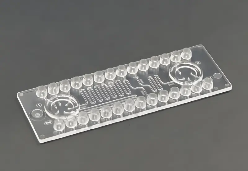 microfluidic chip