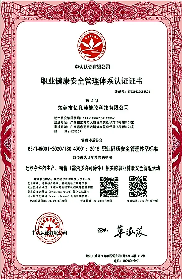 Fecision ISO 45001
