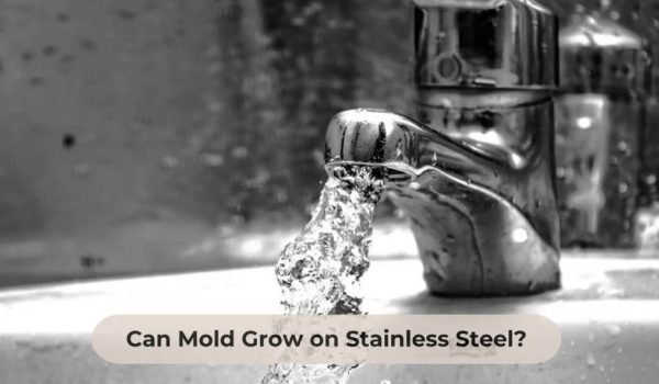 Can Mold Grow on Stainless Steel?